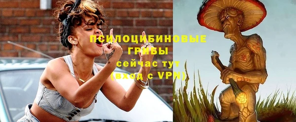 PSILOCYBIN Медногорск