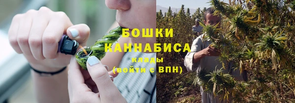 дживик Медвежьегорск