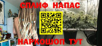 ГАЛЛЮЦИНОГЕННЫЕ ГРИБЫ Краснознаменск