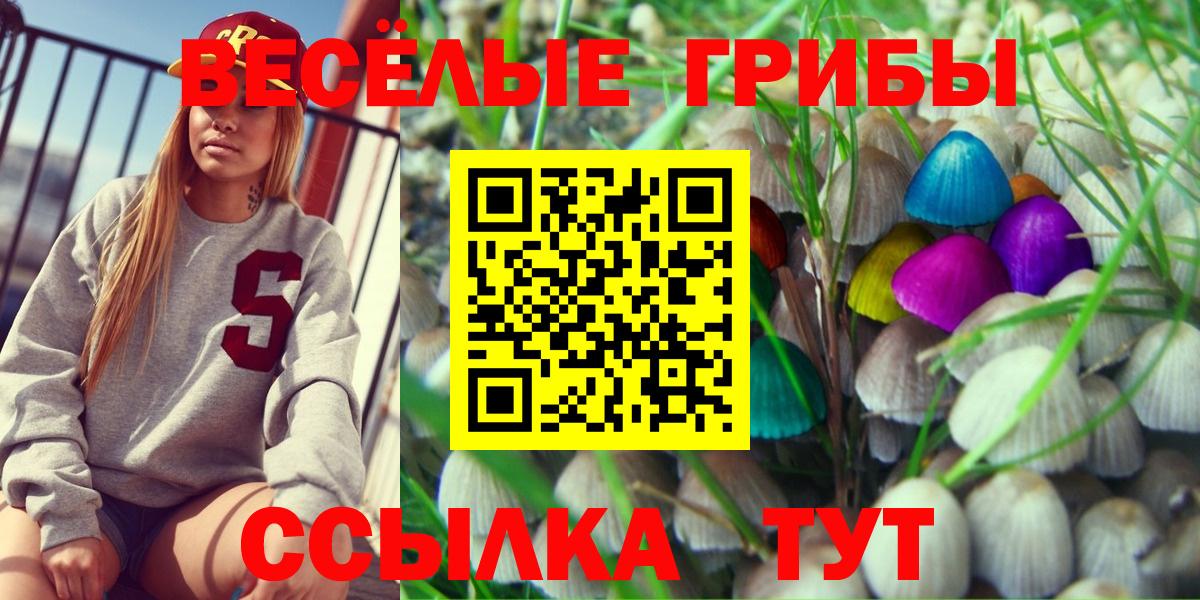 Галлюциногенные грибы ЛСД  Вход с VPN  наркотики  Галлюциногенные грибы MAGIC MUSHROOMS  Ессентуки 